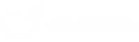 SHENZHEN WHALE VISION TECHNOLOGY CO., LTD